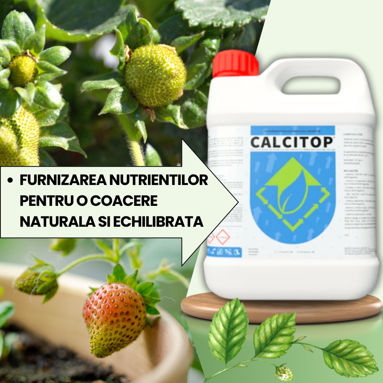 BIOPACK Stadiu 2 CAPSUNI - Fixare fruct, Accelerare Crestere si Colorare - 2 | YEO