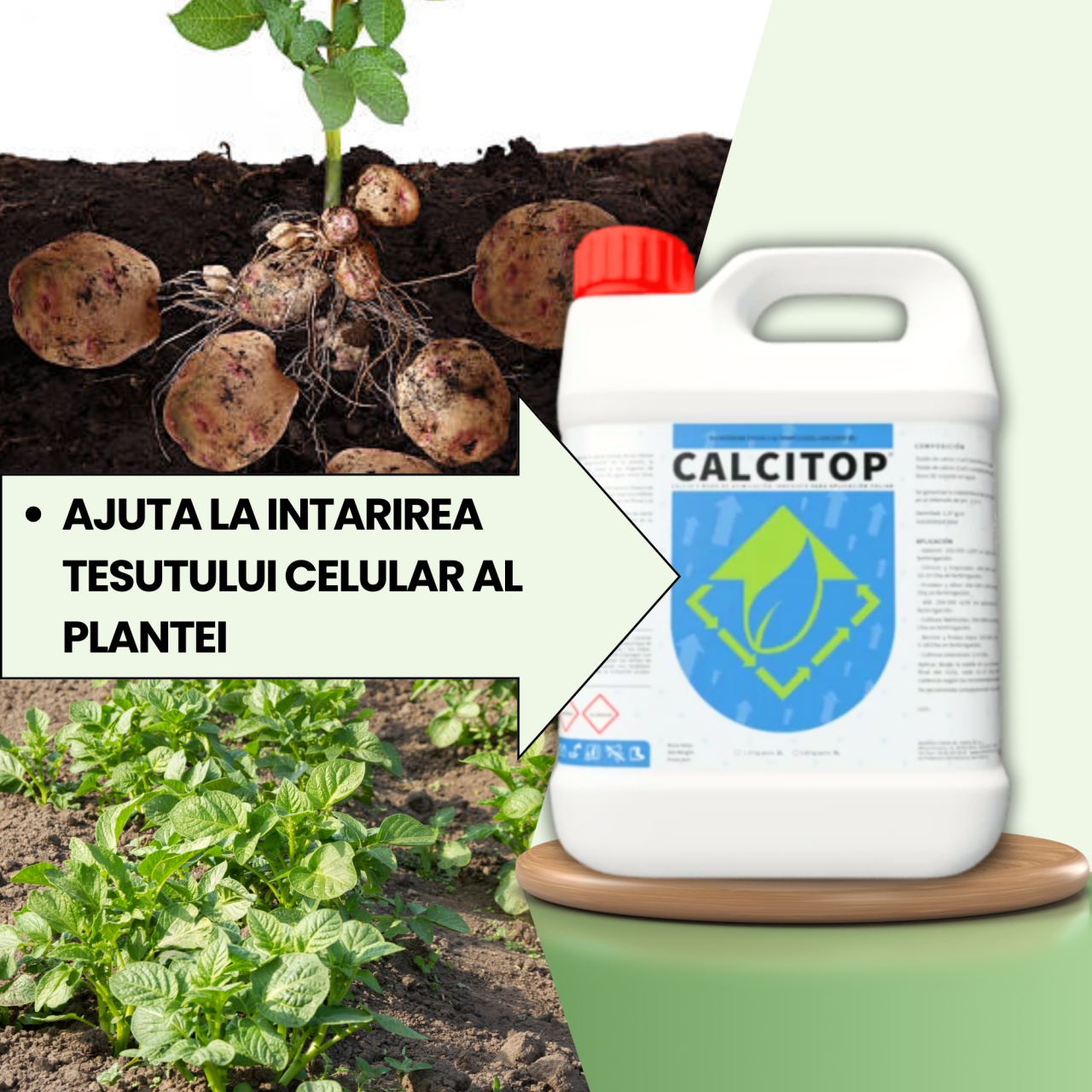 BIOPACK Stadiu 2 CARTOFI - Corectarea deficientei de micronutrienti si intarirea tesutului - 3 | YEO