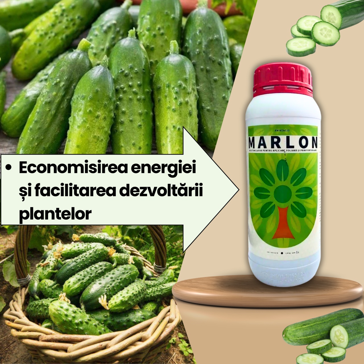 BIOPACK Stadiu 2 CASTRAVETI – Dezvoltare Foliala si Vigor - 1 | YEO