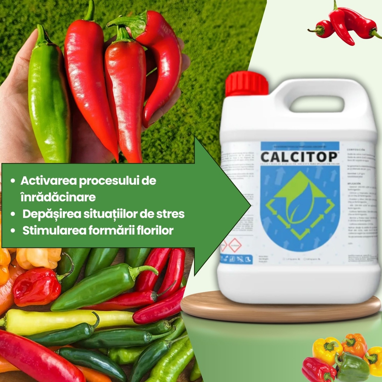 BIOPACK Stadiu 5 ARDEI – Coacere Accelerata si Gust Intens - 3 | YEO