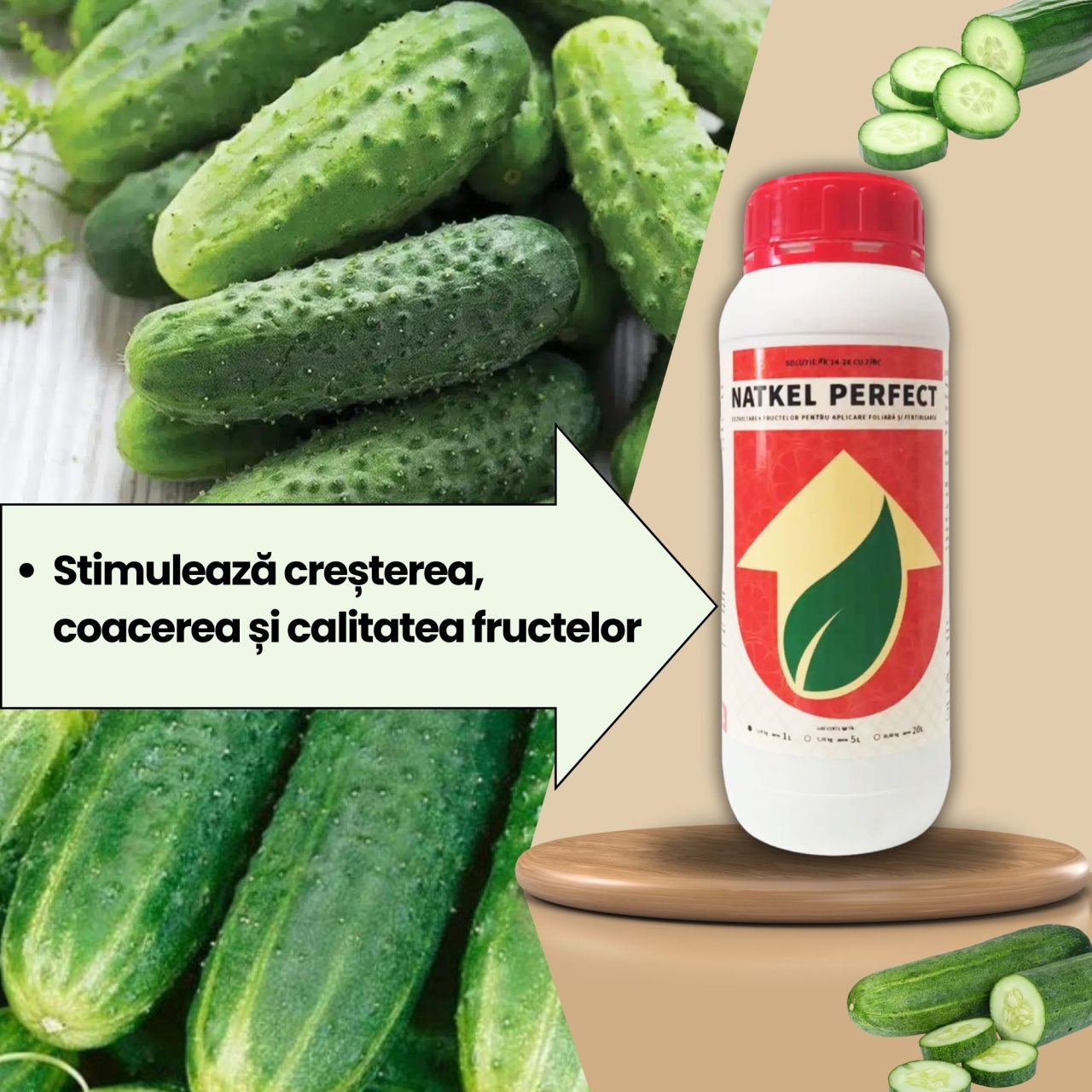 BIOPACK Stadiu 6 CASTRAVETI – Dimensiune, Culoare si Fortifiere - 2 | YEO