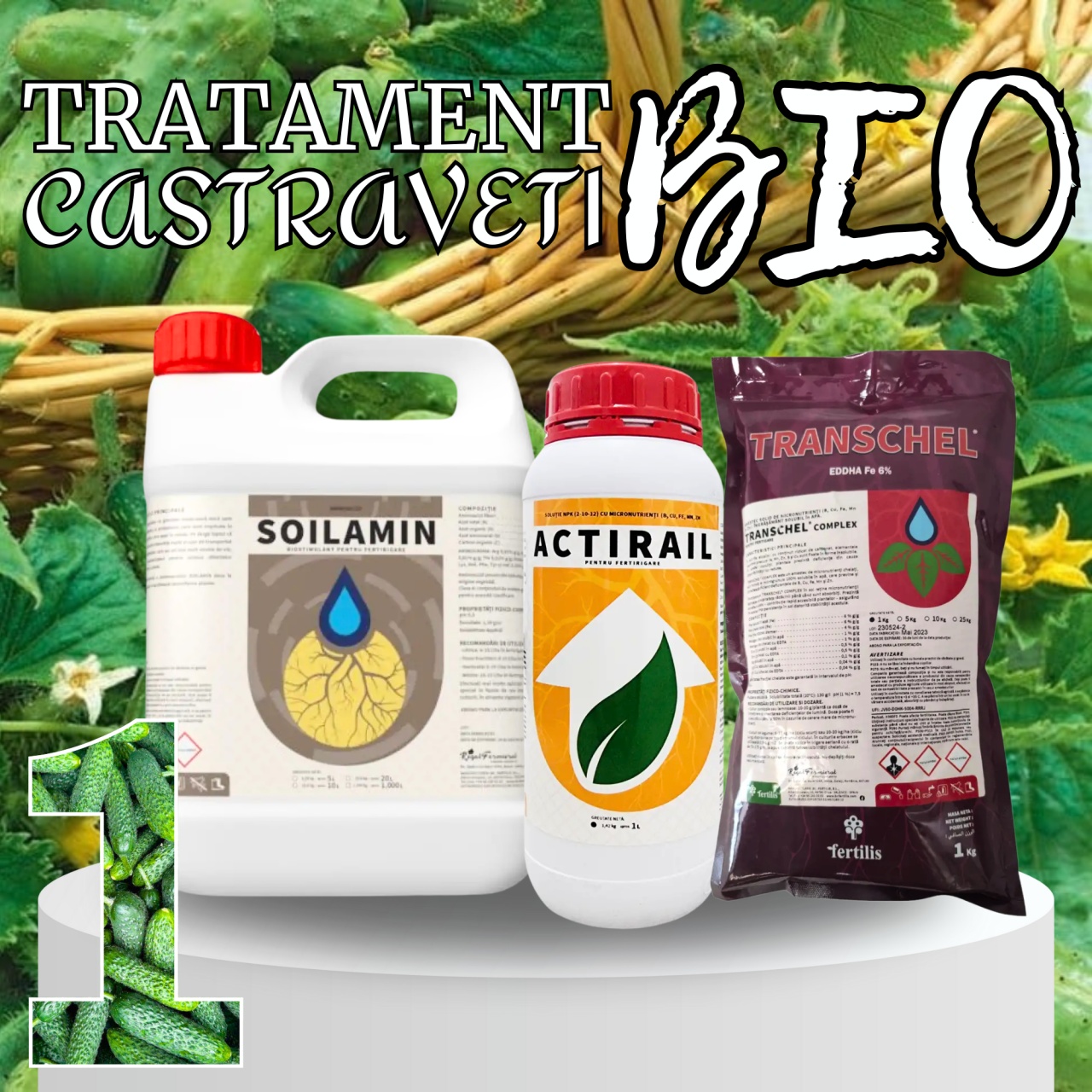 BIOPACK Stadiu 1 CASTRAVETI – Pregatirea Solului si Transplantare