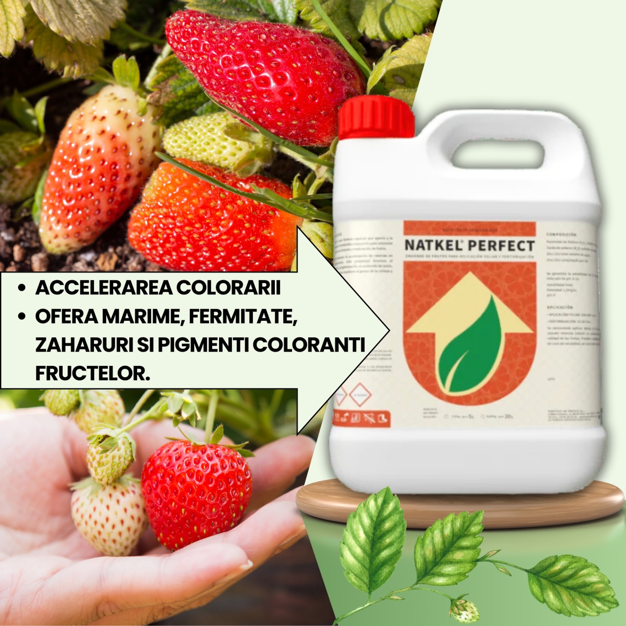 BIOPACK Stadiu 2 CAPSUNI - Fixare fruct, Accelerare Crestere si Colorare - 3 | YEO