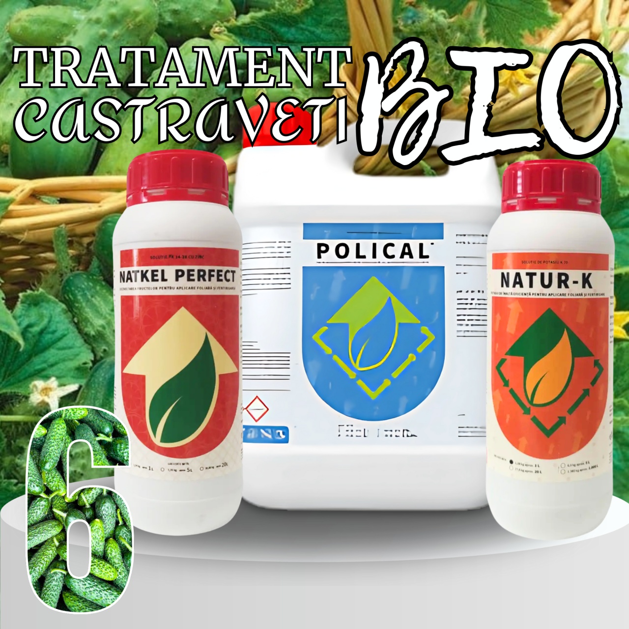 BIOPACK Stadiu 6 CASTRAVETI – Dimensiune, Culoare si Fortifiere