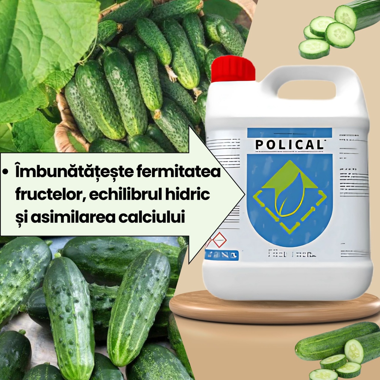 BIOPACK Stadiu 6 CASTRAVETI – Dimensiune, Culoare si Fortifiere - 3 | YEO