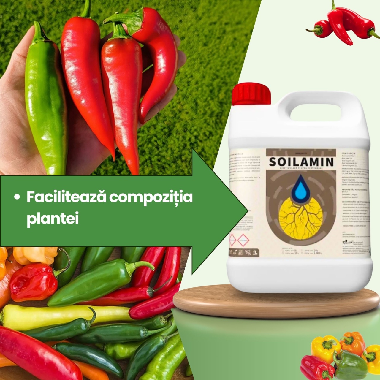 BIOPACK Stadiu 1 ARDEI – Tratament BIO pentru transplantare - 3 | YEO