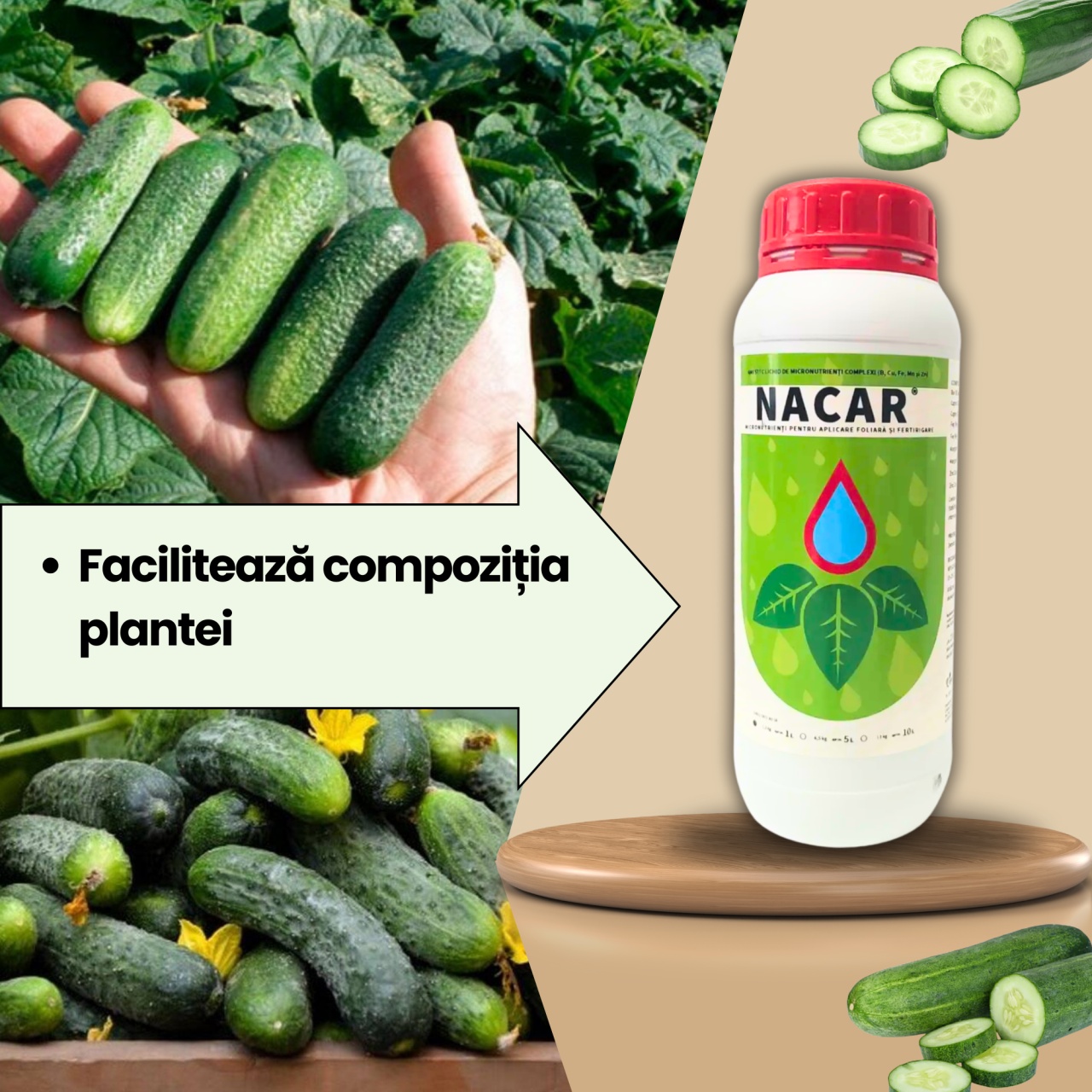 BIOPACK Stadiu 2 CASTRAVETI – Dezvoltare Foliala si Vigor - 3 | YEO