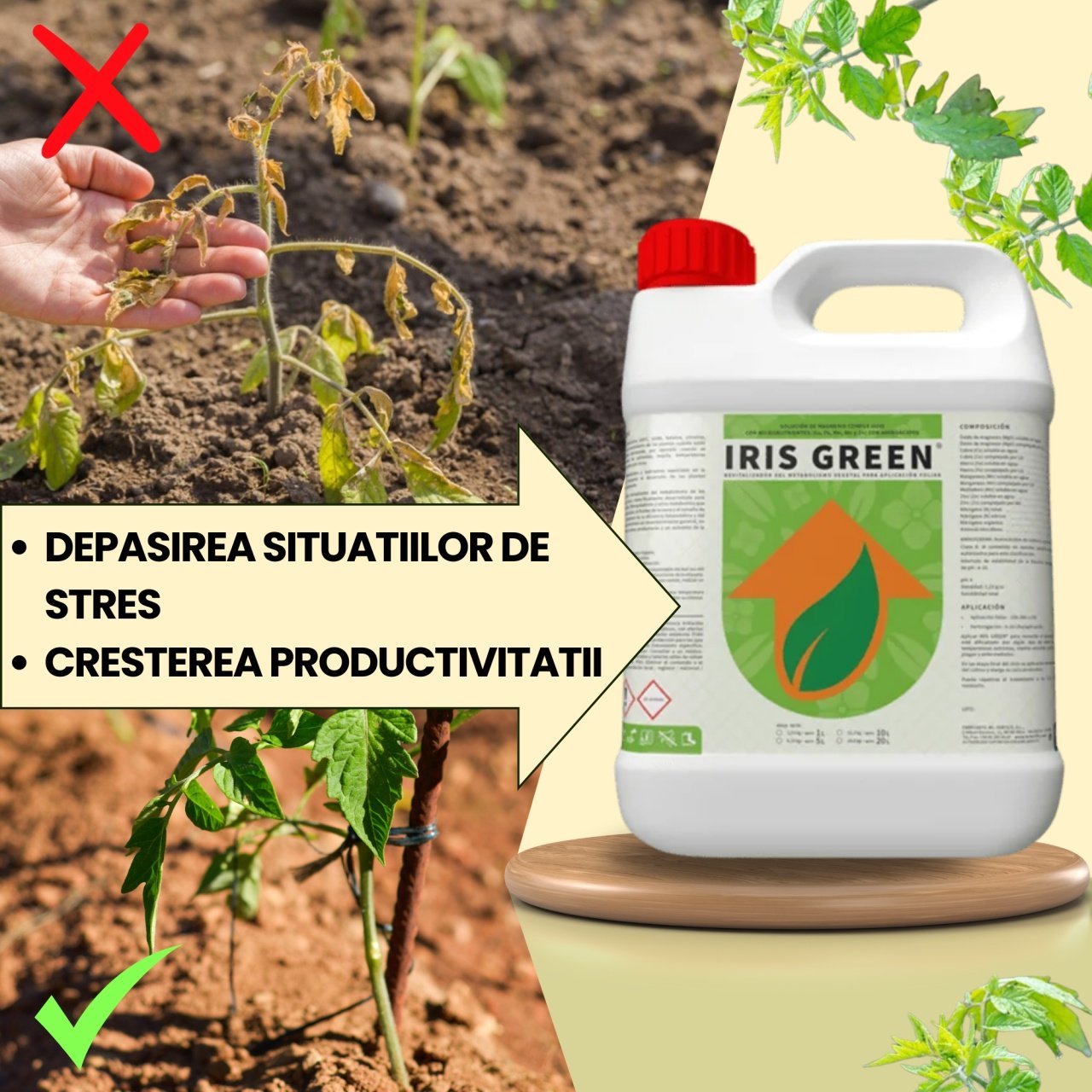 BIOPACK Stadiu 2 TOMATE - Cresterea Productivitatii - 1 | YEO