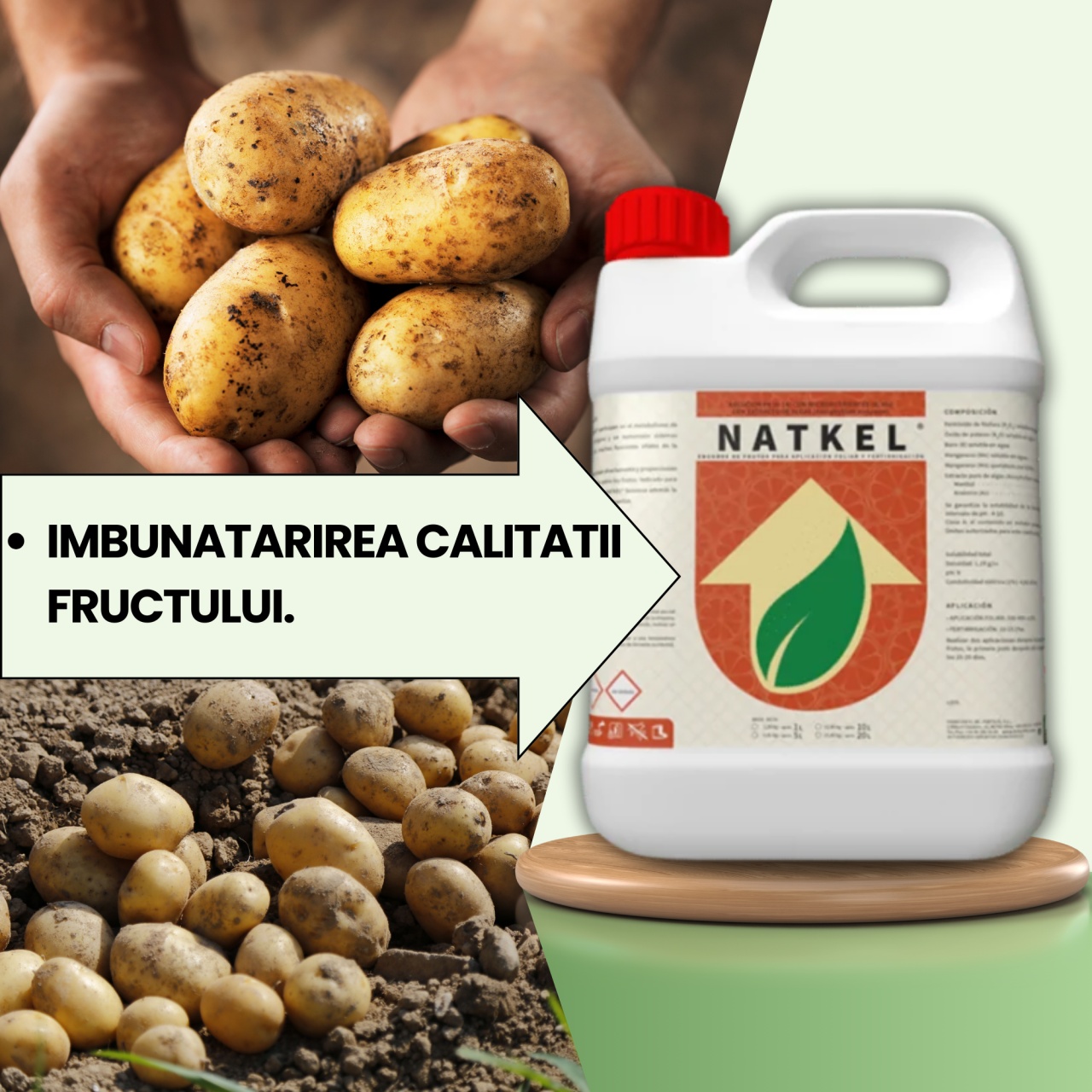 BIOPACK Stadiu 3 CARTOFI - Întărirea țesutului și îmbunătățirea calității fructului - 2 | YEO