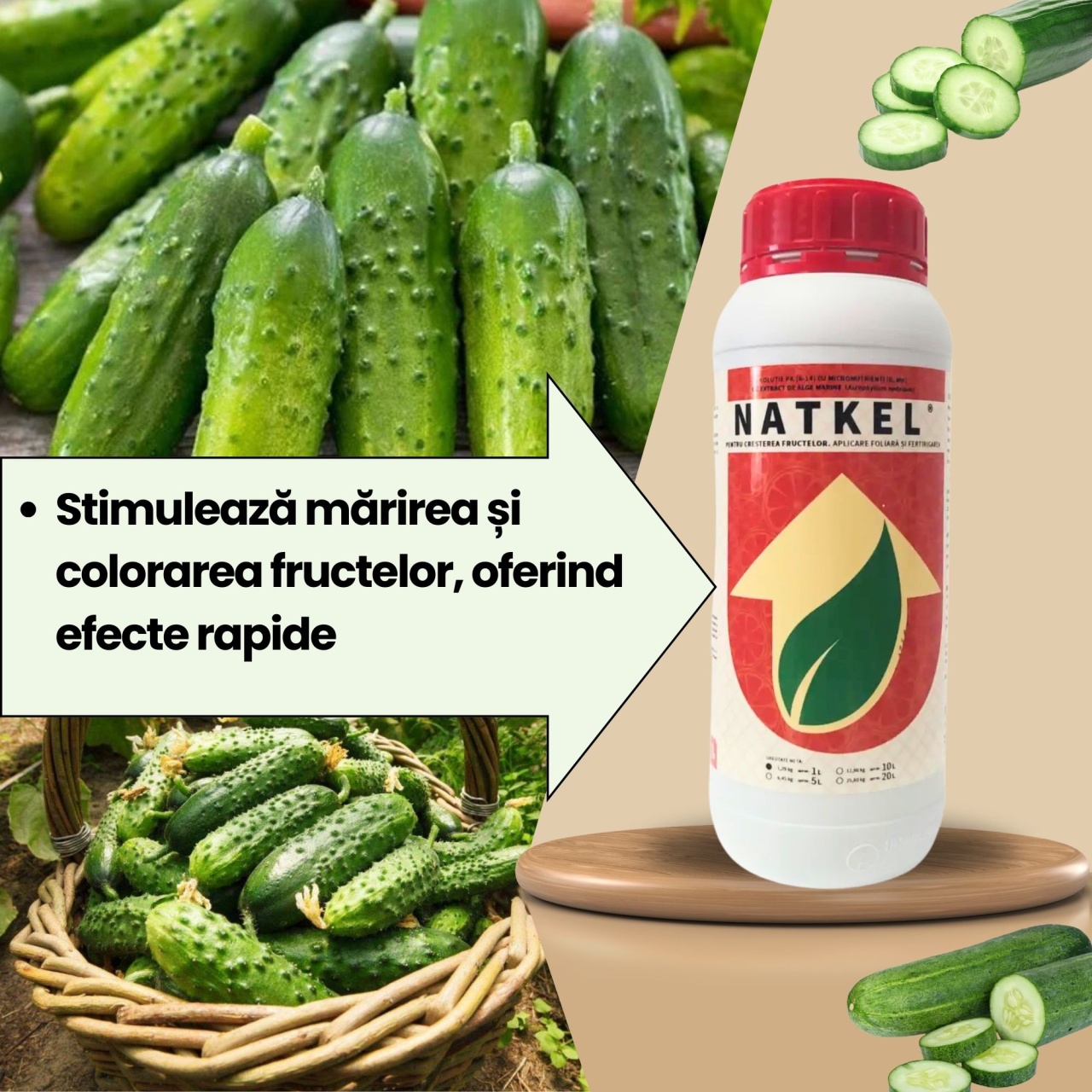 BIOPACK Stadiu 5 CASTRAVETI – Coacere Rapida si Calciu Asimilat - 1 | YEO