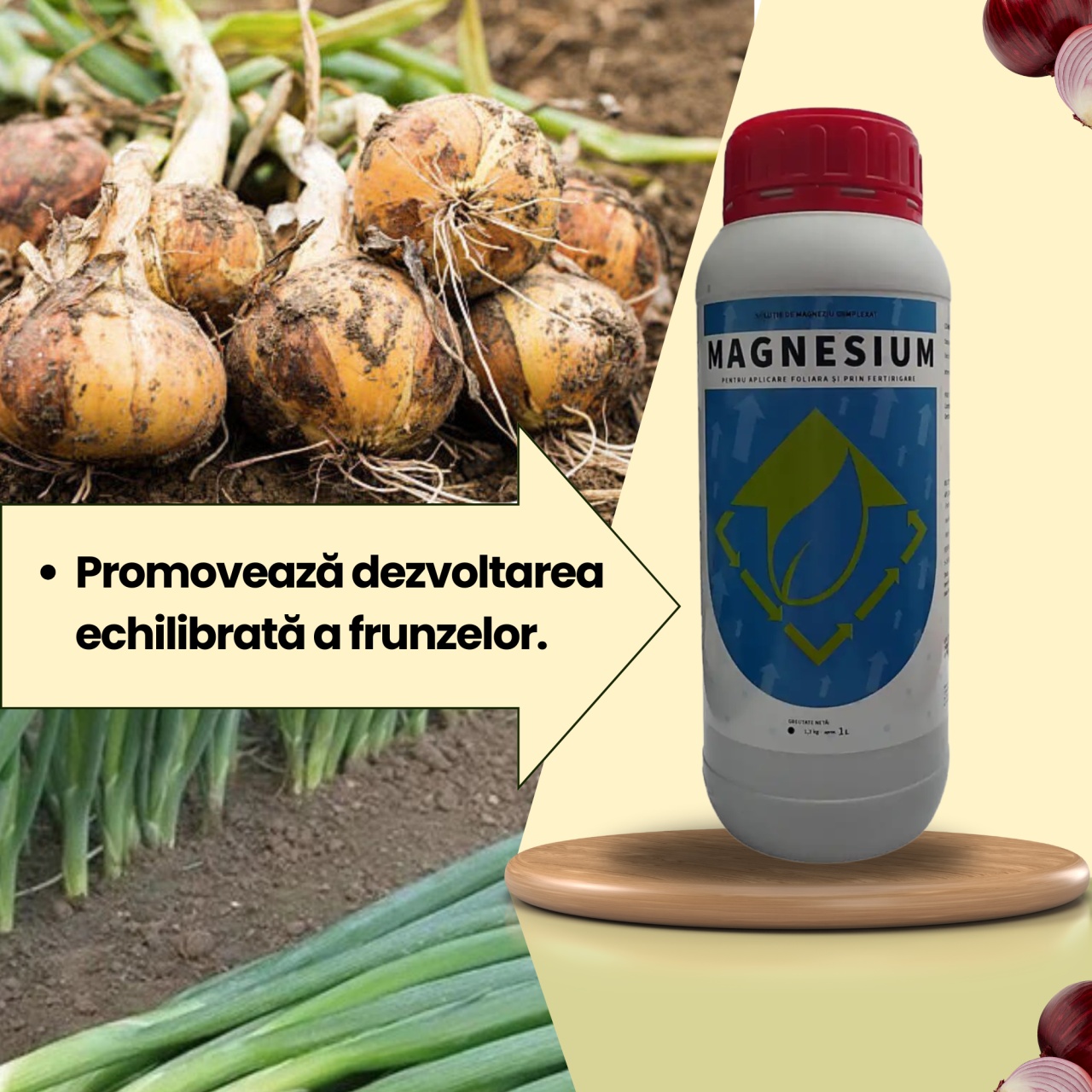 BIOPACK Stadiul 2 Ceapa - Dezvoltare Vegetativa - Maturitate - 1 | YEO