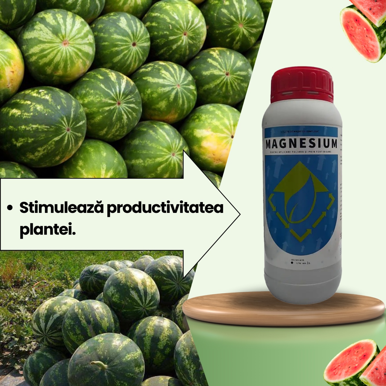 BIOPACK Stadiul 2 Pepeni - Dezvoltarea Frunzei - 2 | YEO