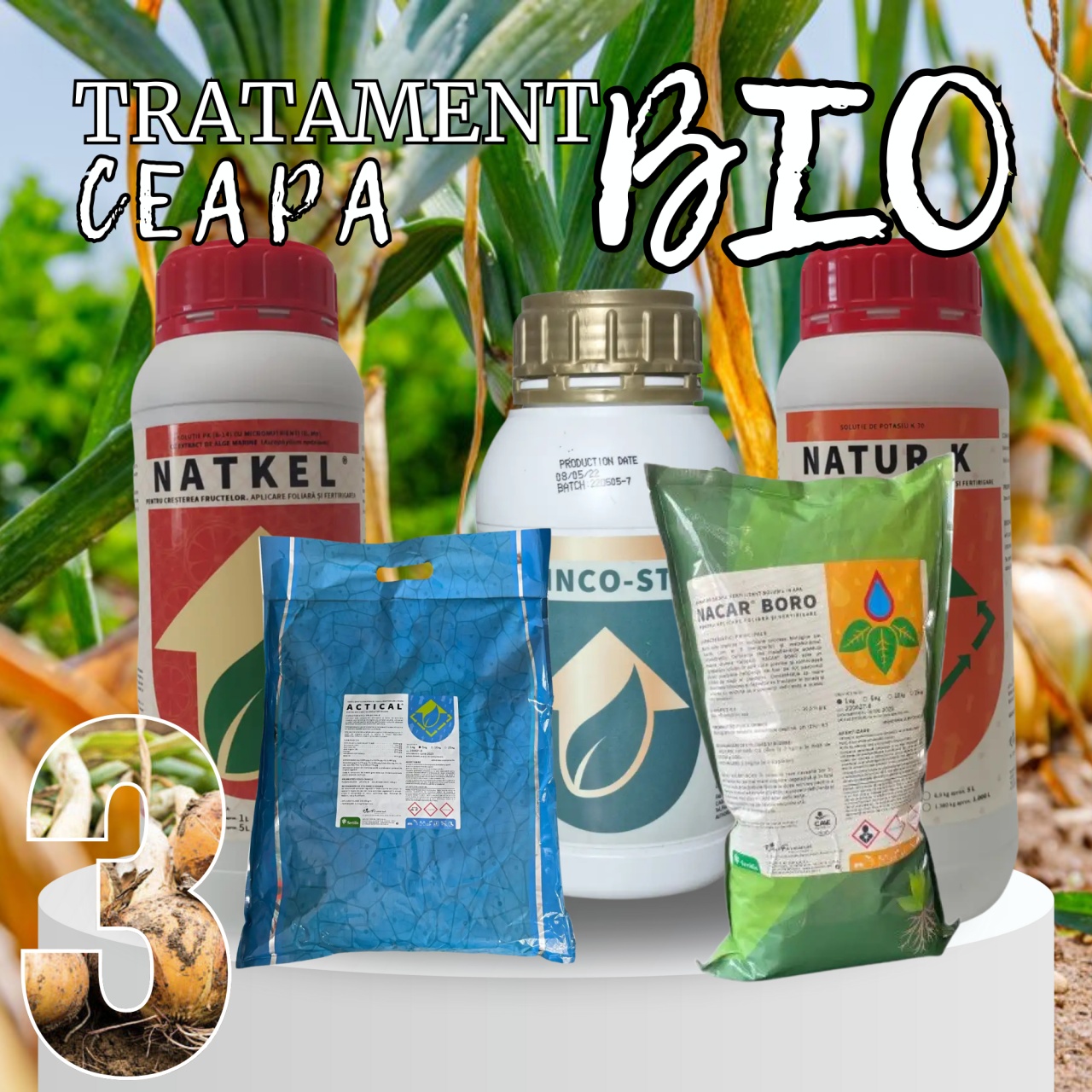 BIOPACK Stadiul 3 Ceapa - Dezvoltarea Bulbilor - Maturitate