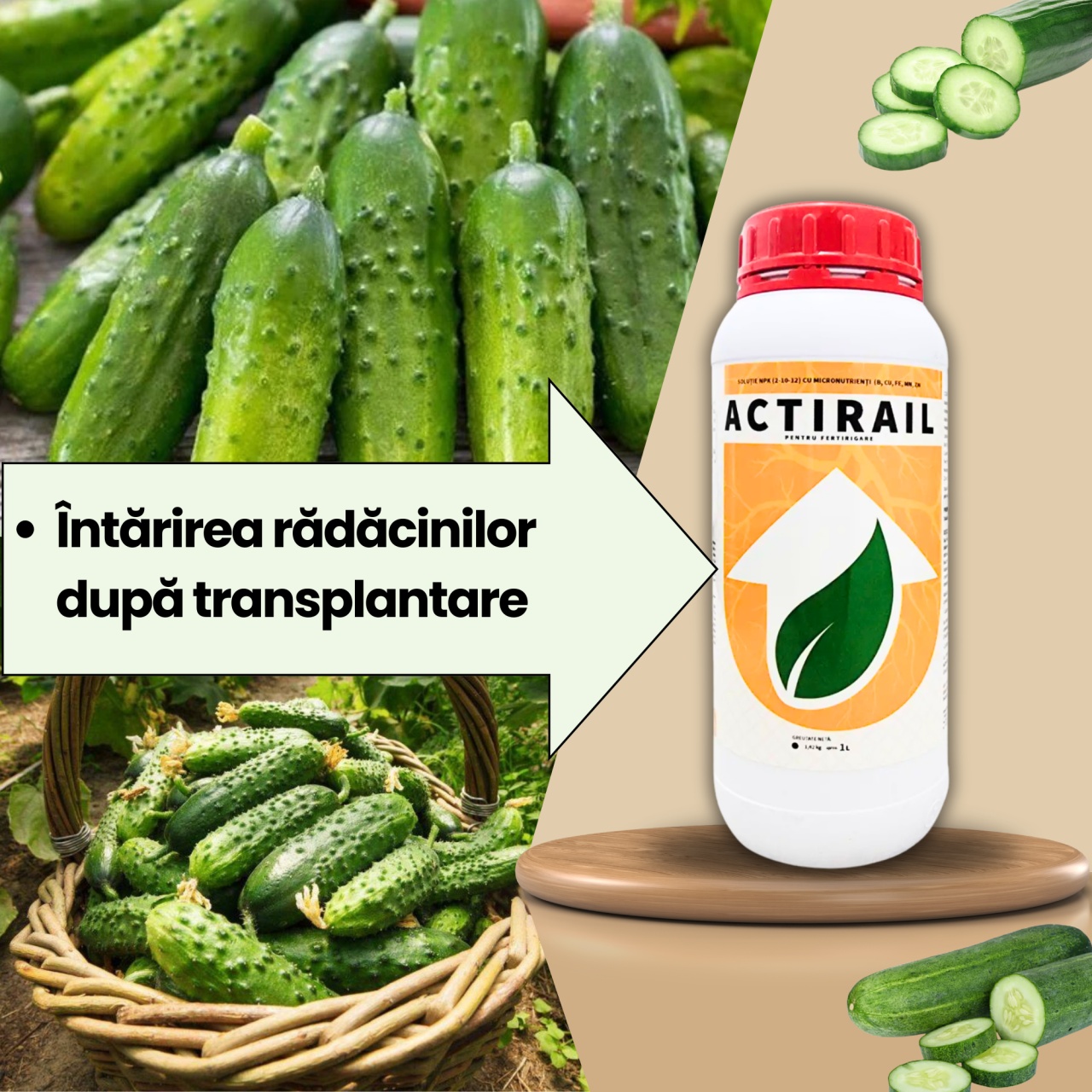 BIOPACK Stadiu 1 CASTRAVETI – Pregatirea Solului si Transplantare - 1 | YEO