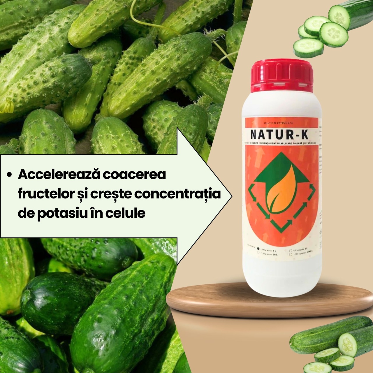BIOPACK Stadiu 5 CASTRAVETI – Coacere Rapida si Calciu Asimilat - 2 | YEO