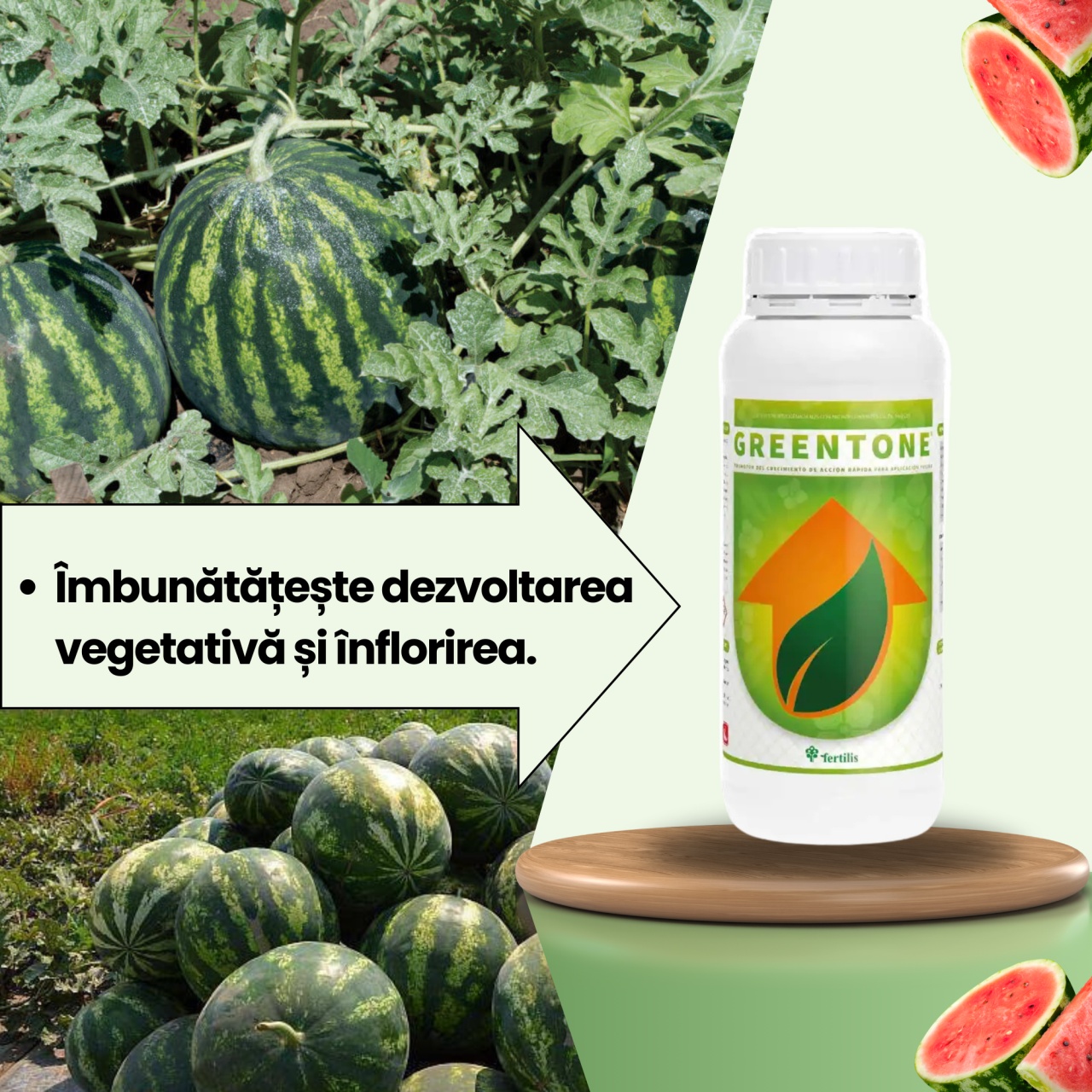 BIOPACK Stadiul 2 Pepeni - Dezvoltarea Frunzei - 3 | YEO