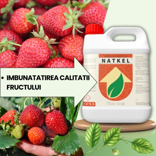 BIOPACK Stadiul 2 CAPSUNI - Fixare rod, Stimulare crestere si intensificare culoare - Img 2