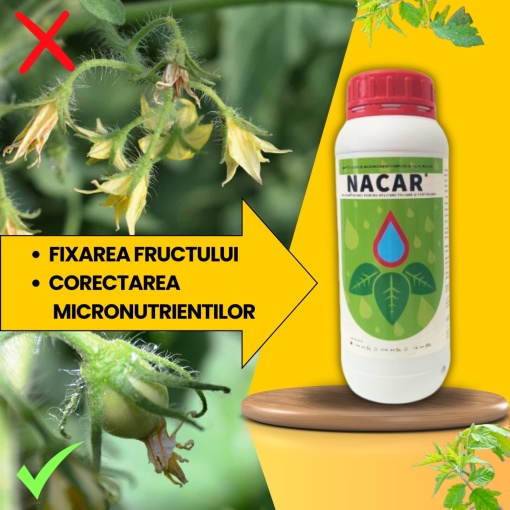 BIOPACK Etapa 3 TOMATE - Legarea Rodului si Dezvoltarea Timpurie - Img 2