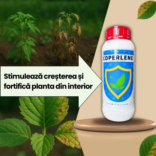 Pachet fungicid BIO Coperlene 1L + Equitron-S 1L pentru protectia culturilor - Img 3