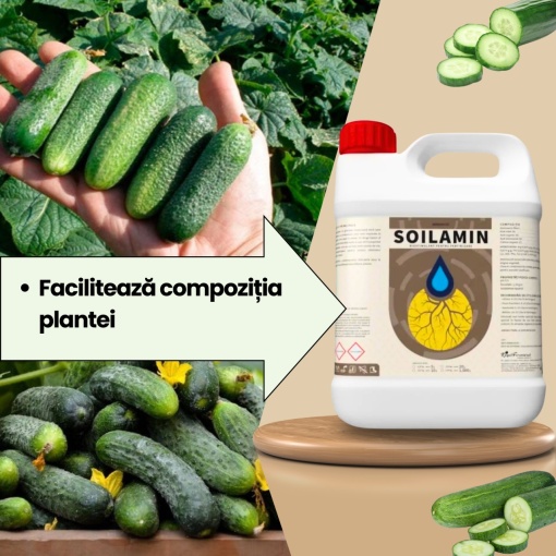 BIOPACK Etapa 1 CASTRAVETI – Pregatirea Terenului si Transplantare - Img 4