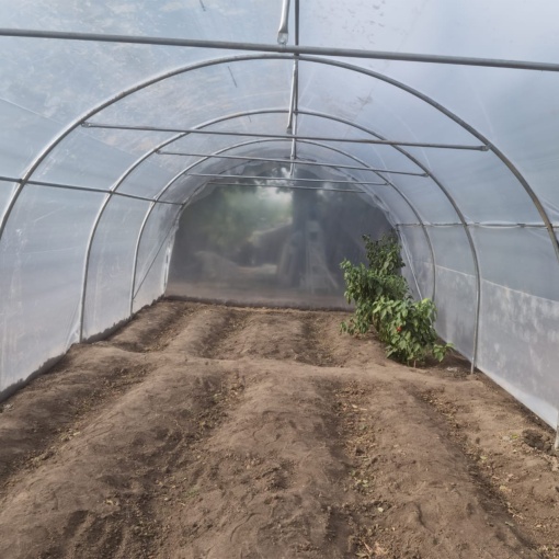 Solar Profesional pentru Legume Regal Fermierul 4x20 m - Img 2