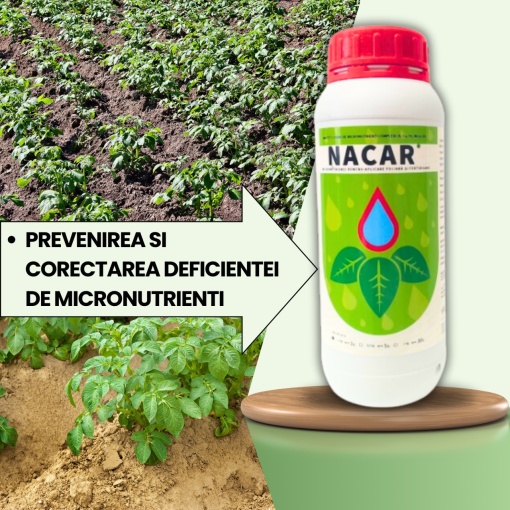 BIOPACK Stadiul 2 CARTOFI - Corectarea carentelor de micronutrienti si consolidarea tesuturilor - Img 2