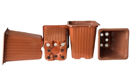 Ghivece patrate 7x7x8 cm din polipropilena cu margini rotunjite - Img 2
