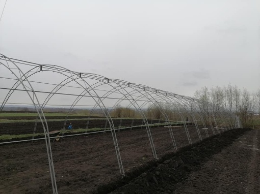 Solar Profesional pentru Legume Regal Fermierul 8x50 m - Img 3