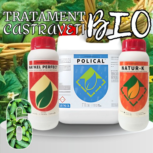 BIOPACK Stadiu 6 CASTRAVETI – Dimensiune, Culoare si Fortifiere