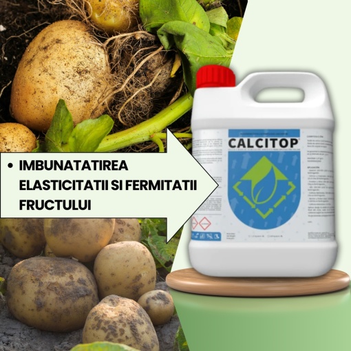 BIOPACK Faza 3 CARTOFI - Consolidarea tesuturilor si cresterea calitatii productiei - Img 2