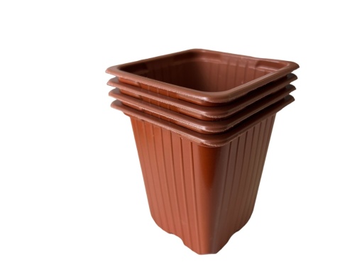 Ghivece patrate 7x7x8 cm din polipropilena cu margini rotunjite - Img 3
