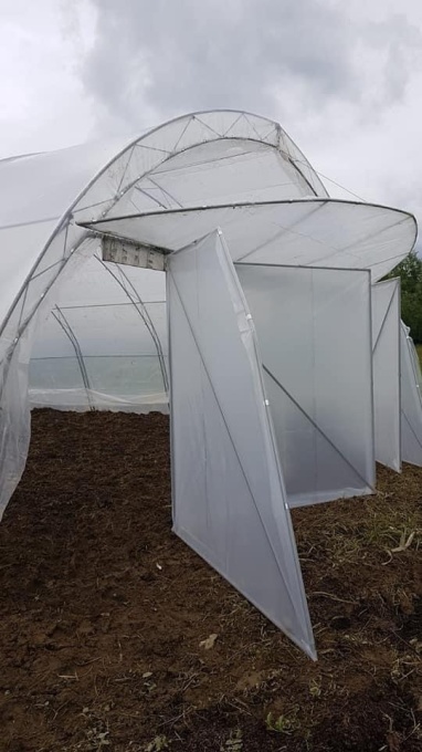Solar Profesional pentru Legume Regal Fermierul 8x50 m - Img 4