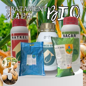 BIOPACK Etapa 3 Ceapa - Cresterea si Maturarea Bulbilor