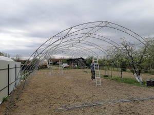 Solar Profesional pentru Legume Regal Fermierul 8x38 m