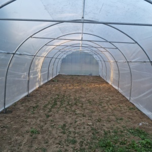 Solar Profesional pentru Legume Regal Fermierul 4x20 m