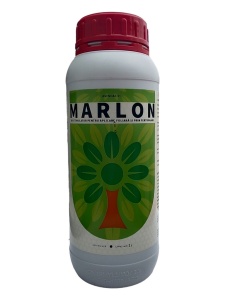 Aminoacizi concentrati - Absorbtie Eficienta - Marlon