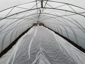 Solar Profesional pentru Legume Regal Fermierul 6x30 m