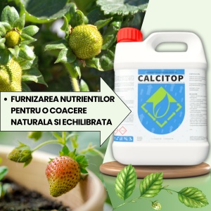 BIOPACK Stadiu 2 CAPSUNI - Fixare fruct, Accelerare Crestere si Colorare - Img 3