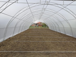 Solar Profesional pentru Legume Regal Fermierul 6x24 m