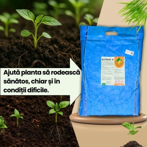 Pachet insecticid BIO Ortitec 1L + Bicasol K 1KG pentru protectia plantelor