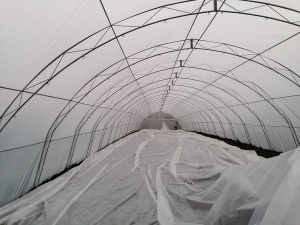 Solar Profesional pentru Legume Regal Fermierul 6x18 m