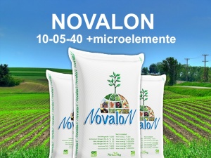 Novalon 10-5-40 + ME