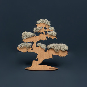 Bonsai cu Licheni stabilizați natur (20 cm diametru)