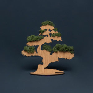 Bonsai cu Licheni stabilizați verzi (20 cm diametru)