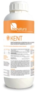 Kent - 1 litru