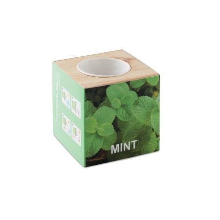 Ghiveci din lemn pentru plante aromatice „MENTĂ”