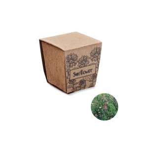 Kit de cultivare a florii-soarelui