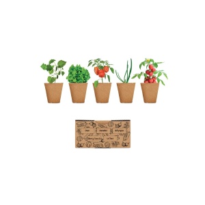 Kit de cultivare a salatelor