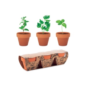 Set de 3 ghivece pentru plante aromatice din teracotă