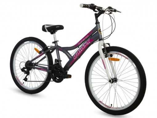 Bicikl CASPER 240 24"/18 siva/roza